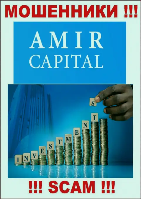 Не переводите денежные средства в Амир Капитал, род деятельности которых - Инвестирование