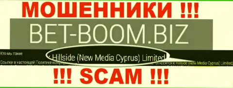 Юридическим лицом, владеющим internet мошенниками Хиллсиде (Нью Медиа Кипр) Лтд, является Хиллсиде (Нью Медиа Кипр) Лтд