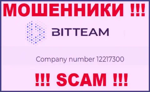 Рег. номер организации Bit Team - 12217300