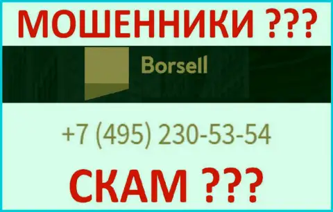 С какого телефонного номера станут названивать интернет мошенники из Borsell неизвестно, у них их немало