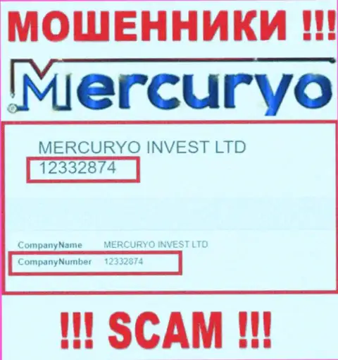 Номер регистрации жульнической компании Меркурио Ко: 12332874
