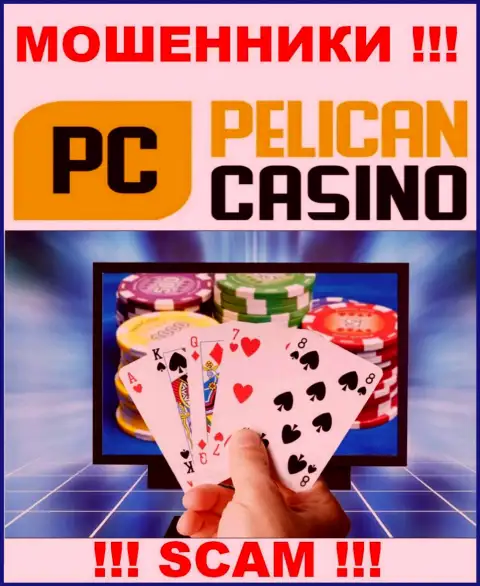 PelicanCasino Games оставляют без денег неопытных людей, прокручивая свои делишки в области - Казино