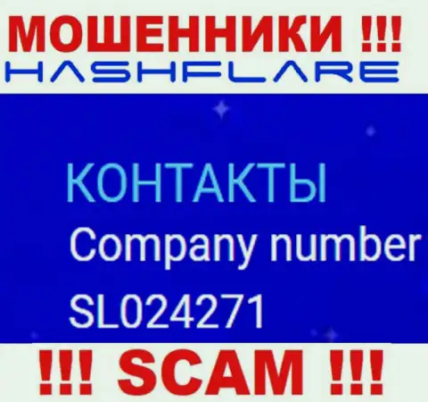 Регистрационный номер, под которым официально зарегистрирована контора ХэшФлэир: SL024271