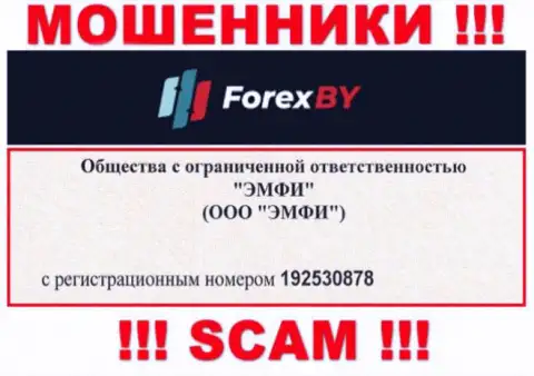 На онлайн-сервисе мошенников Forex BY предоставлен именно этот рег. номер указанной компании: 192530878