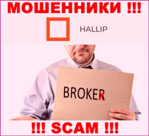 Сфера деятельности internet-мошенников Халлип - это Брокер, но помните это надувательство !!!