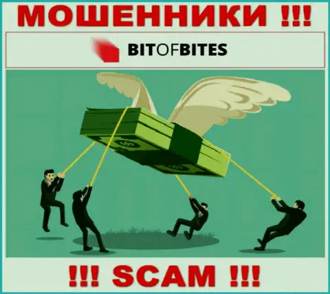 Не связывайтесь с компанией BitOf Bites - не окажитесь очередной жертвой их противоправных деяний