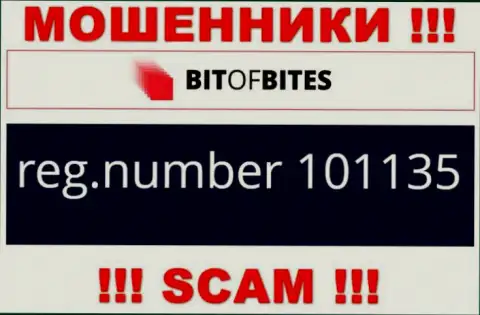 Рег. номер конторы Bit Of Bites, который они указали на своем web-ресурсе: 101135