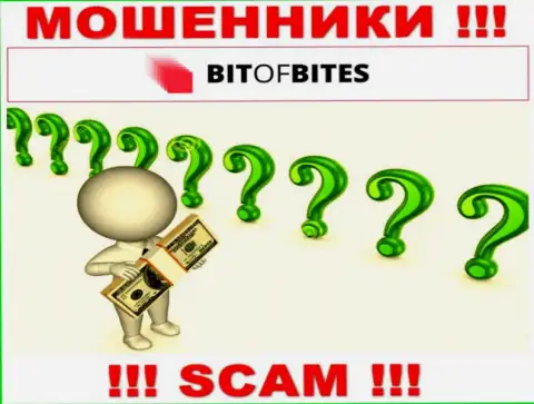 На официальном интернет-сервисе Bit Of Bites нет абсолютно никакой инфы о руководителях компании