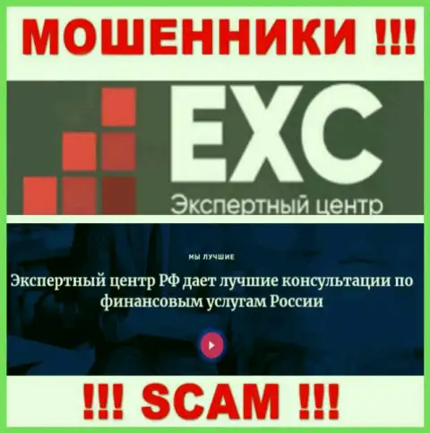 Экспертный-Центр РФ промышляют грабежом наивных клиентов, а Consulting только прикрытие