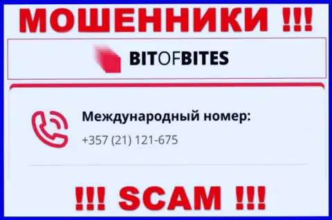 С какого номера телефона будут звонить мошенники из конторы BitOfBites неизвестно, у них их масса