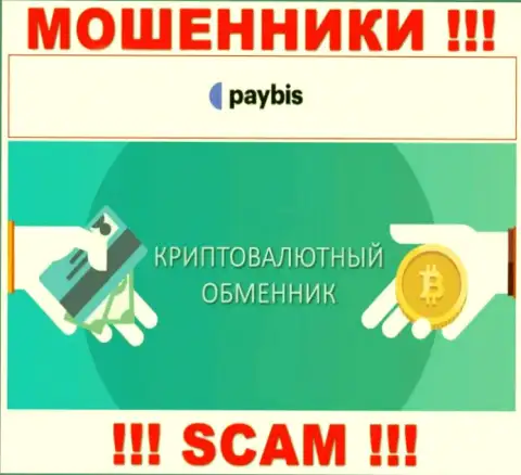 Крипто обменник - это вид деятельности преступно действующей конторы Pay Bis