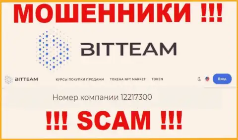 Регистрационный номер, который принадлежит организации BitTeam - 12217300