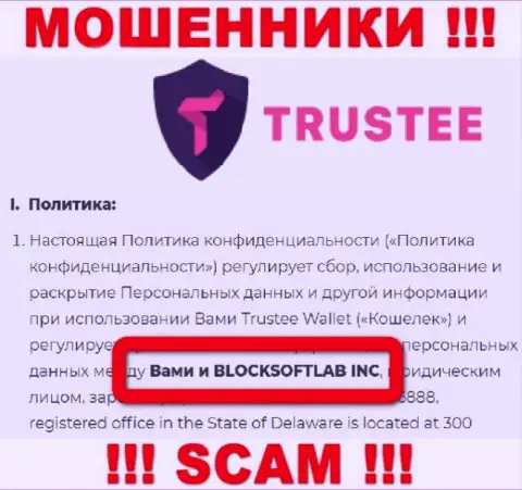 BLOCKSOFTLAB INC владеет компанией ТрастиГлобал Ком - это МОШЕННИКИ !!!