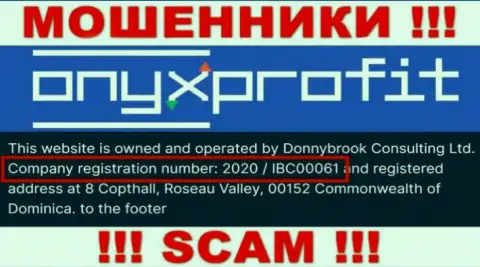 Рег. номер, который присвоен организации OnyxProfit - 2020 / IBC00061