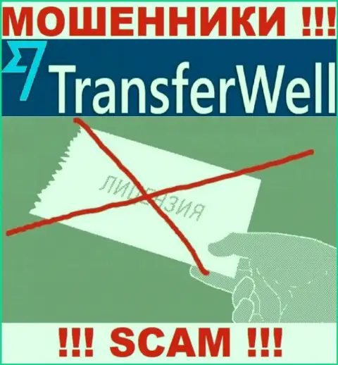 Вы не сможете найти данные о лицензии internet шулеров TransferWell Net, потому что они ее не сумели получить