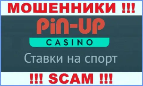 Основная деятельность Pin Up Casino - это Casino, будьте крайне осторожны, промышляют преступно