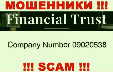 Регистрационный номер еще одних мошенников всемирной сети интернет конторы Financial-Trust Ru: 09020538
