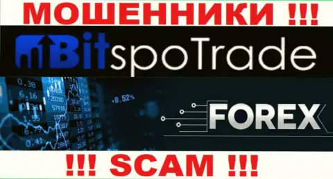 Forex - конкретно то, чем занимаются интернет мошенники BitSpo Trade