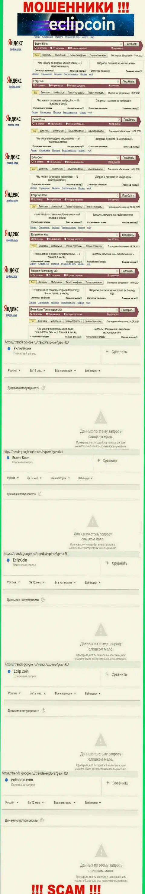 Сколько именно раз пользователи всемирной сети пытались найти сведения об разводилах EclipCoin Com ?