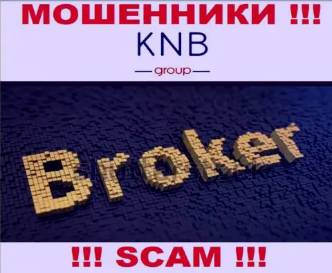 Область деятельности противозаконно действующей компании KNB Group - Брокер