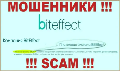 Осторожнее, род работы Бит Эффект, Система платежей - это разводняк !