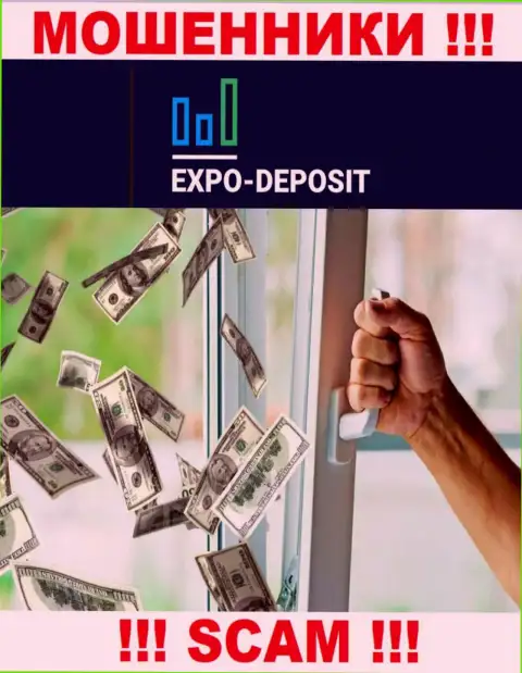 НЕ СПЕШИТЕ связываться с Expo Depo, указанные internet-мошенники регулярно прикарманивают вложенные денежные средства валютных игроков