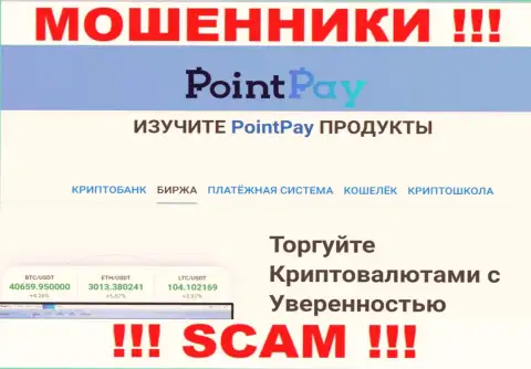 Поскольку деятельность интернет шулеров Point Pay - это обман, лучше совместной работы с ними избегать