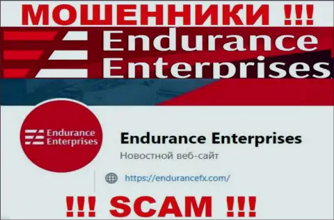 Установить связь с internet-мошенниками из конторы EnduranceEnterprises Вы можете, если напишите письмо им на электронный адрес
