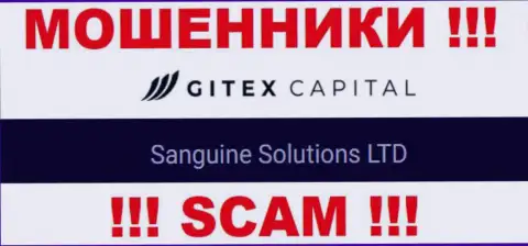 Юридическое лицо GitexCapital - это Sanguine Solutions LTD, такую инфу опубликовали мошенники на своем сайте