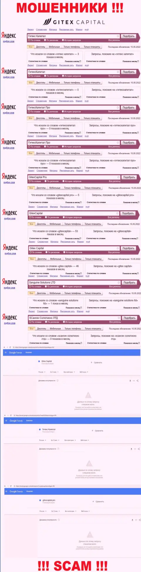 Статистика брендовых поисковых запросов по неправомерно действующей конторе GitexCapital