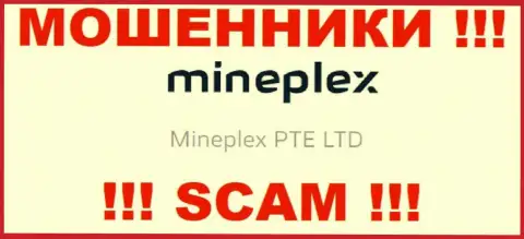 Владельцами MinePlex Io является компания - Mineplex PTE LTD