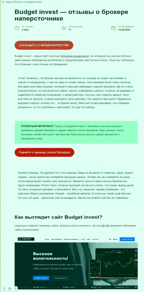 BudgetInvest Org - это МОШЕННИКИ !  - правда в обзоре мошеннических комбинаций организации