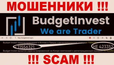 Рег. номер организации BudgetInvest Org - 11556321