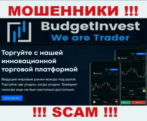 Budget Invest говорят своим клиентам, что трудятся в области Брокер