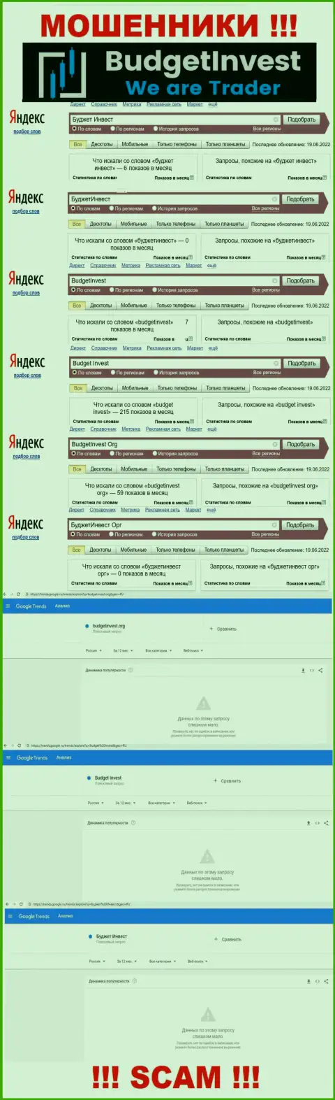 Информация по online запросам бренда Budget Invest, позаимствованная из сети Интернет