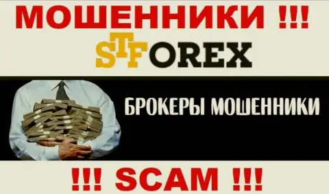 Мошенники ST Forex только лишь задуривают мозги трейдерам, рассказывая про баснословную прибыль