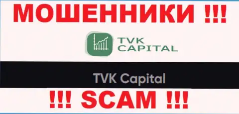 TVK Capital - юридическое лицо мошенников TVK Capital