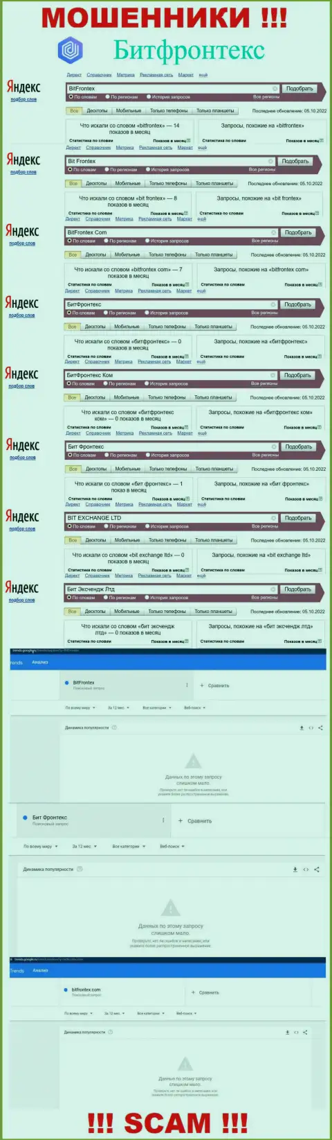 Количество online запросов по internet-мошенникам BitFrontex