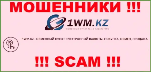 Деятельность разводил 1 WM Kz: Online обменник - это капкан для доверчивых людей