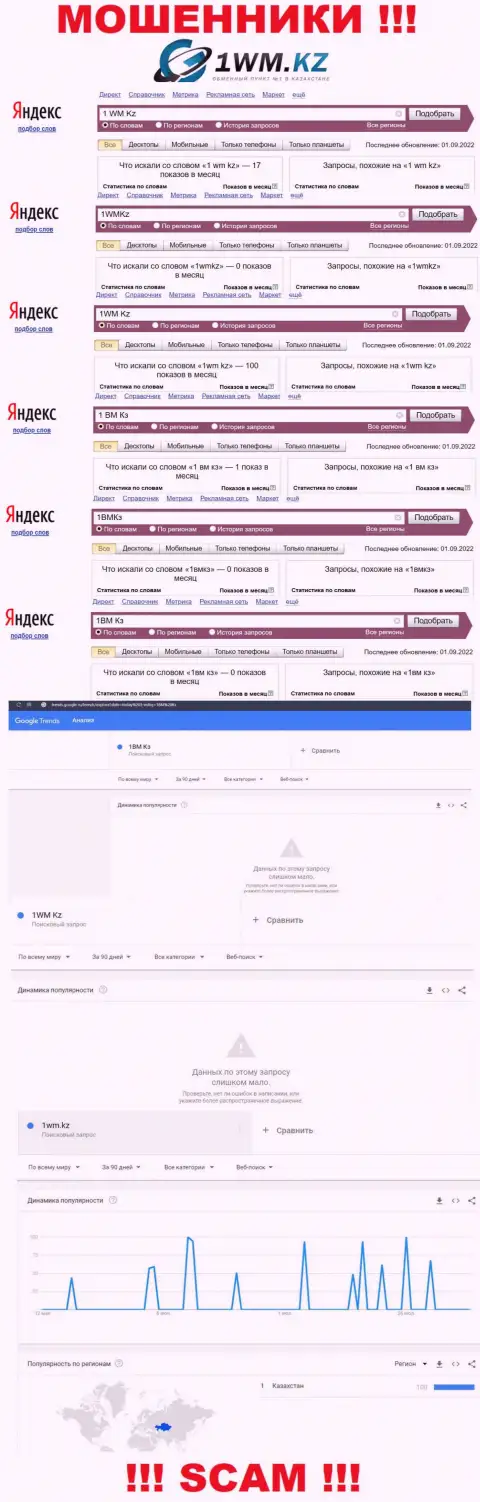 Подробный анализ онлайн запросов по противоправно действующей компании 1ВМ Кз