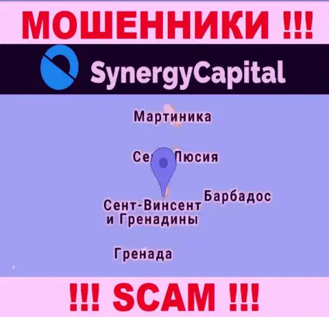 У себя на портале SynergyCapital указали, что зарегистрированы они на территории - Kingstown, St. Vincent and the Grenadines