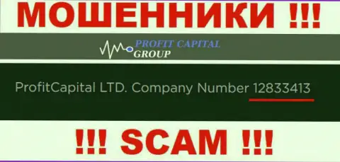 Рег. номер Profit Capital Group, который показан мошенниками на их интернет-сервисе: 12833413