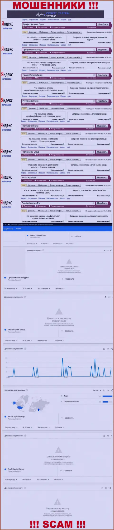 Анализ онлайн-запросов по аферистам Profit Capital Group во всемирной сети internet