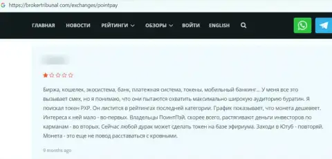 Отзыв, в котором показан плачевный опыт работы человека с организацией PointPay