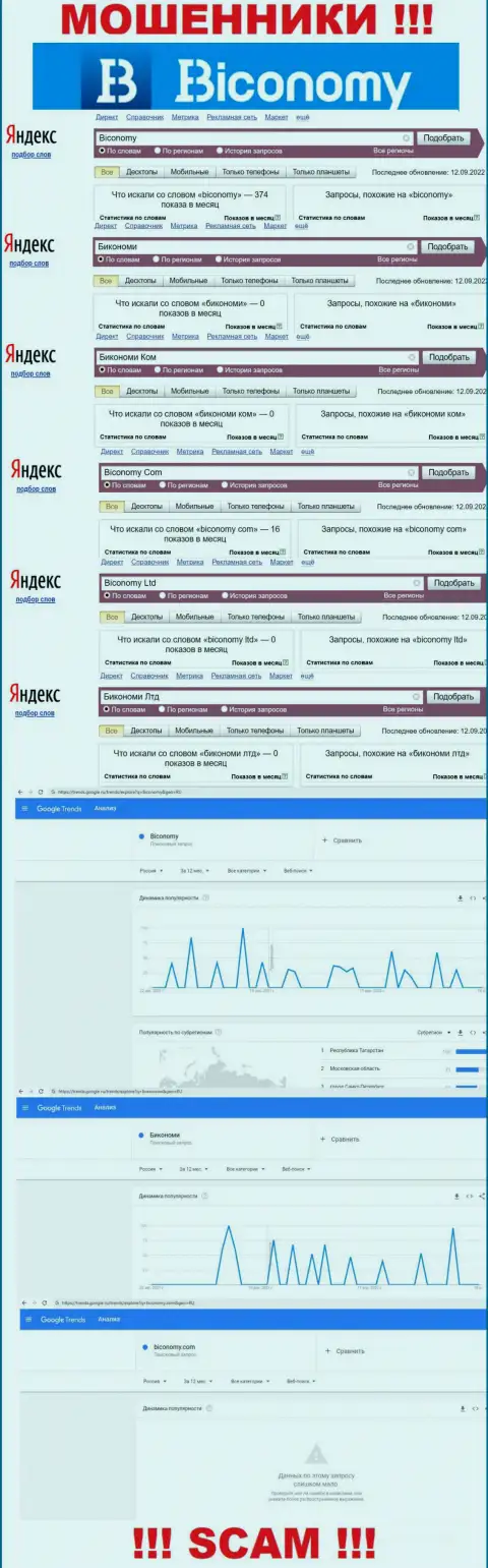 Какое количество людей искало информацию об Biconomy - статистика онлайн запросов по этой конторе