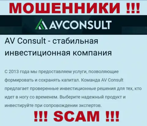 Взаимодействуя с AV Consult, рискуете потерять все денежные вложения, ведь их Инвестиции - это надувательство