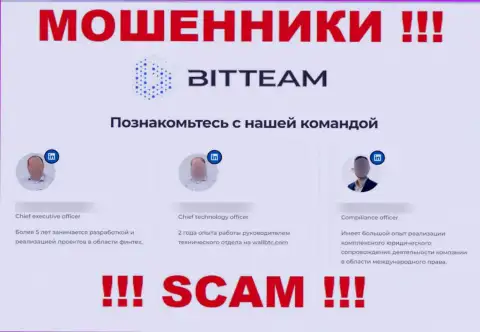 Доверять сведениям BitTeam об руководящих лицах довольно опасно, ведь это фиктивные лица