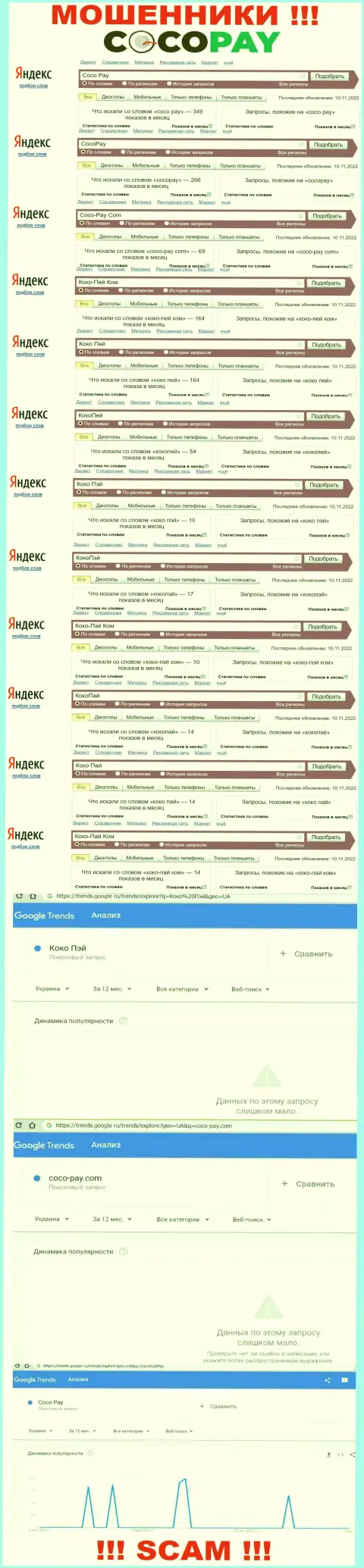 Сколько именно раз посетители сети пытались найти сведения об кидалах Coco Pay ?