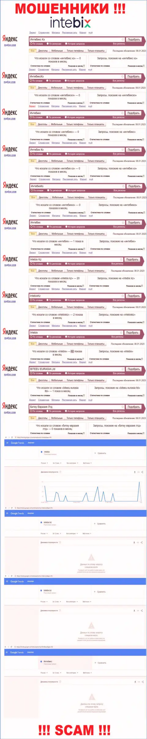 Статистические показатели бренда Intebix, какое количество online запросов у данной шарашки