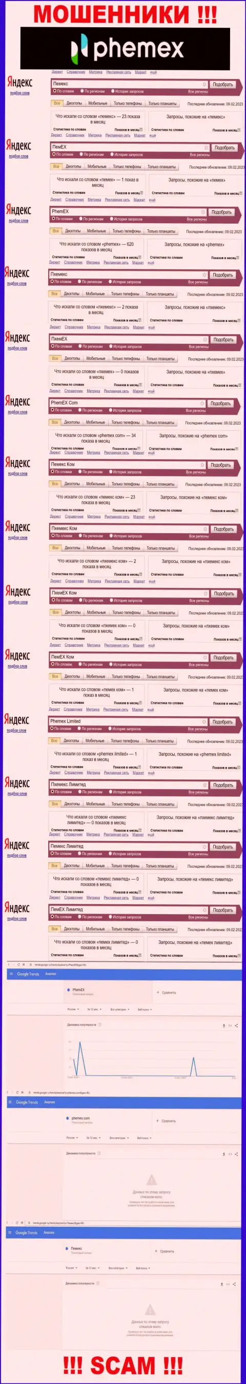 Подробная информация по количеству запросов по лохотронщикам PhemEX Com в сети